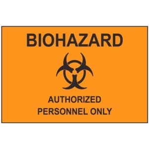 Biohazard 2 aw