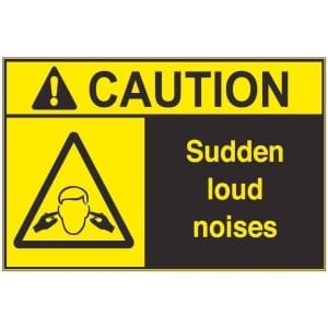 Sudden Loud Noises ac