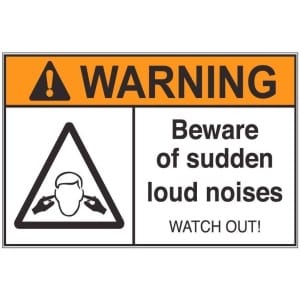 Sudden Loud Noises aw