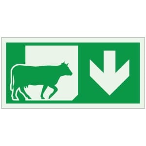 Poistumistie navetta jälkivalaiseva opaste