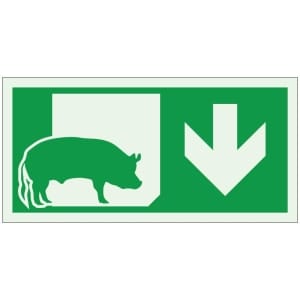 Poistumistie sikala jälkivalaiseva opaste