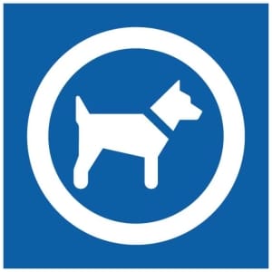 Koira symboli kyltti
