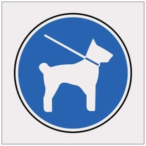 Koira heijastava kyltti