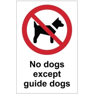 No dogs except guide dog (b) kyltti