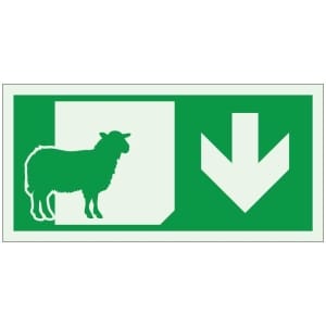 Poistumistie lampola jälkivalaiseva opaste